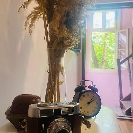Escape In Photos In Centre Appartement *