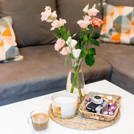 Escape In Photos In Centre Appartement *